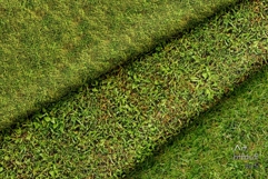 Seamless Green Grass Ground Textures Pack 4K - 16 Textures Product Image 7