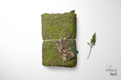 Seamless Autumn Moss Ground Textures Pack 4K - 12 Textures Product Image 7