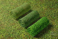 Seamless Green Grass Ground Textures Pack 4K - 16 Textures Product Image 9