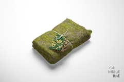Seamless Autumn Moss Ground Textures Pack 4K - 12 Textures Product Image 9