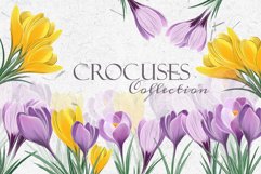 Crocuses collection. Digital illustrations Product Image 1