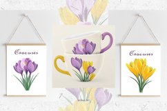 Crocuses collection. Digital illustrations Product Image 5