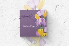 Crocuses collection. Digital illustrations Product Image 7