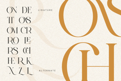 CRONDE || Elegant Luxury Serif Product Image 8