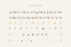 CRONDE || Elegant Luxury Serif Product Image 9