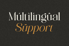 CRONDE || Elegant Luxury Serif Product Image 10