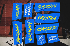 Crownish - Display Brush Font Product Image 12