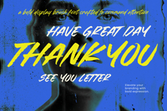 Crownish - Display Brush Font Product Image 20