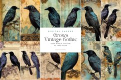 52 Crows Vintage Gothic Junk Journal Page Product Image 2