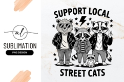 Street Cats Cartoon Animals Support Local Sublimation Design Product Image 1