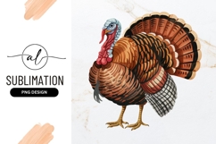 Watercolor Thanksgiving Turkey Bird Sublimation Png Product Image 1