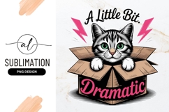 Dramatic Cat In Box Sublimation Png Product Image 1