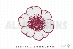 flower, floral, minimalist, vector, illustration, design, element, maroon, white, blossom, bloom, botanical, nature, simple, elegant, clip art, graphic, icon, decorative, spring, summer, invitation, card, background, pattern, modern, isolated, anemone