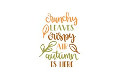 Crunchy Leaves Crispy Air Autumn Is Here Product Image 1