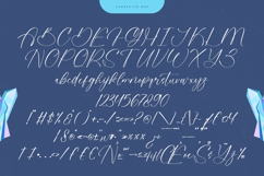Crystal Kinetic - Stylish Handwritten Font Product Image 18