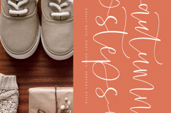 Crystale Jawerly - Beauty Handwritten Script Font Product Image 10