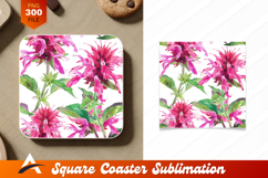 Watercolor Bee Balm Flower Pattern Coaster Design Product Image 1