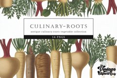 Culinary-Roots Vintage Vegetable Botanical Clip Art Product Image 1