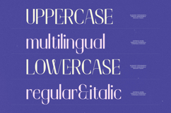 Cultural Festival - Modern Sans Serif Product Image 18