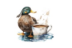 Duck, Flying, Pet, Swim ,Wildlife, Feather, Male, Bird Fowl, Isolated, Wild Animal ,Cute ,Drake, Nature, Ornithology, Farm ,Flight ,Paint, Profile Splash, Watercolor ,Wing ,Drawing, Hunting, Abstract, Goose ,Poultry ,Studio, White, Avian ,Beak, Beauty, Co