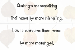 Cupcake Product Image 6