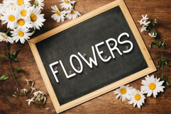 CUPIDS CANDY Product Image 3