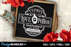 Farmhouse Valentine Big Sign Bundle - 26 Farmhouse Signs Product Image 17