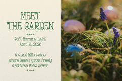 Curlicue Garden | Whimsical Hand Drawn Product Image 3