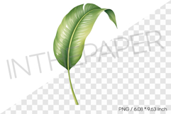 curved palm leaf Tropical Summer Clipart Watercolor Illust Product Image 1