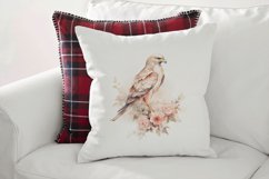 Buzzard Clipart PNG - Watercolor Bird Sublimation Design Product Image 3
