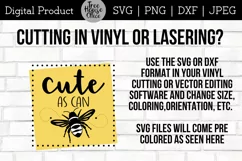 instructions for using this Cute As Can Bee honeybee quote digital file in svg or dxf format for cricut, silhouette, or laser projects
