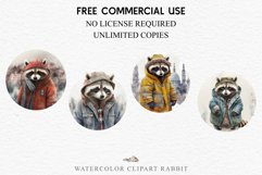 Cute Baby Raccoon Clipart PNG Scrapbooking Nursery Fairy Tale Art Image Watercolor Transparent Print illustration designs sublimation kids printable digital