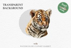 Cute Baby Tiger Animals Clipart PNG Scrapbooking Nursery Art Image Watercolor  Transparent Print invitation shirt designs sublimation kids printable digital watercolor baby tiger, scrapbooking clipart, sublimation nursery drawing, forest animals, wild cat