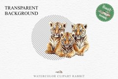 Cute Baby Tiger Animals Clipart PNG Scrapbooking Nursery Art Image Watercolor  Transparent Print invitation shirt designs sublimation kids printable digital watercolor baby tiger, scrapbooking clipart, sublimation nursery drawing, forest animals, wild cat