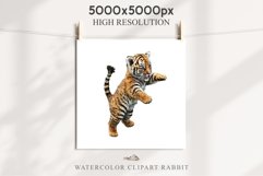 Cute Baby Tiger Animals Clipart PNG Scrapbooking Nursery Art Image Watercolor  Transparent Print invitation shirt designs sublimation kids printable digital watercolor baby tiger, scrapbooking clipart, sublimation nursery drawing, forest animals, wild cat