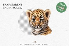 Cute Baby Tiger Animals Clipart PNG Scrapbooking Nursery Art Image Watercolor  Transparent Print invitation shirt designs sublimation kids printable digital watercolor baby tiger, scrapbooking clipart, sublimation nursery drawing, forest animals, wild cat