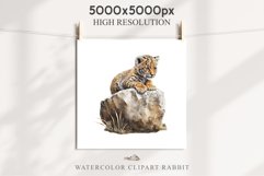 Cute Baby Tiger Animals Clipart PNG Scrapbooking Nursery Art Image Watercolor  Transparent Print invitation shirt designs sublimation kids printable digital watercolor baby tiger, scrapbooking clipart, sublimation nursery drawing, forest animals, wild cat