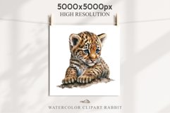 Cute Baby Tiger Animals Clipart PNG Scrapbooking Nursery Art Image Watercolor  Transparent Print invitation shirt designs sublimation kids printable digital watercolor baby tiger, scrapbooking clipart, sublimation nursery drawing, forest animals, wild cat