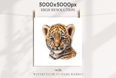 Cute Baby Tiger Animals Clipart PNG Scrapbooking Nursery Art Image Watercolor  Transparent Print invitation shirt designs sublimation kids printable digital watercolor baby tiger, scrapbooking clipart, sublimation nursery drawing, forest animals, wild cat
