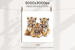 watercolor baby tiger, scrapbooking clipart, sublimation nursery drawing, forest wild cats Cute Baby Tiger Animals Clipart PNG Scrapbooking Nursery Art Image Watercolor  Transparent Print invitation shirt designs sublimation kids printable digital