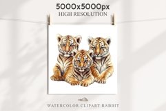 Cute Baby Tiger Animals Clipart PNG Scrapbooking Nursery Art Image Watercolor  Transparent Print invitation shirt designs sublimation kids printable digital watercolor baby tiger, scrapbooking clipart, sublimation nursery drawing, forest animals, wild cat