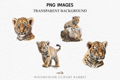 watercolor baby tiger, scrapbooking clipart, sublimation nursery drawing, forest wild cats Cute Baby Tiger Animals Clipart PNG Scrapbooking Nursery Art Image Watercolor  Transparent Print invitation shirt designs sublimation kids printable digital