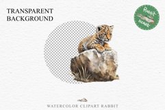 Cute Baby Tiger Animals Clipart PNG Scrapbooking Nursery Art Image Watercolor  Transparent Print invitation shirt designs sublimation kids printable digital watercolor baby tiger, scrapbooking clipart, sublimation nursery drawing, forest animals, wild cat