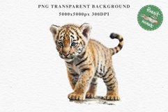 Cute Baby Tiger Animals Clipart PNG Scrapbooking Nursery Art Image Watercolor  Transparent Print invitation shirt designs sublimation kids printable digital watercolor baby tiger, scrapbooking clipart, sublimation nursery drawing, forest animals, wild cat