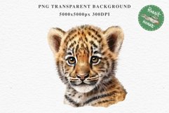 Cute Baby Tiger Animals Clipart PNG Scrapbooking Nursery Art Image Watercolor  Transparent Print invitation shirt designs sublimation kids printable digital watercolor baby tiger, scrapbooking clipart, sublimation nursery drawing, forest animals, wild cat
