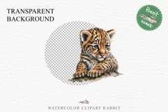 Cute Baby Tiger Animals Clipart PNG Scrapbooking Nursery Art Image Watercolor  Transparent Print invitation shirt designs sublimation kids printable digital watercolor baby tiger, scrapbooking clipart, sublimation nursery drawing, forest animals, wild cat