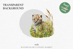 Cute Baby Tiger Animals Clipart PNG Scrapbooking Nursery Art Image Watercolor  Transparent Print invitation shirt designs sublimation kids printable digital watercolor baby tiger, scrapbooking clipart, sublimation nursery drawing, forest animals, wild cat