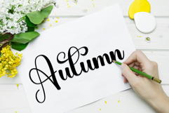 Cute Bear Product Image 8