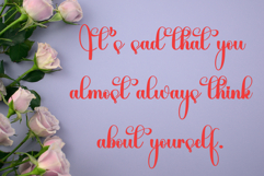 Cute Bear Product Image 6