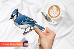 Cute Blue Jay Sticker, Bird Sticker, Nature Sticker Product Image 1